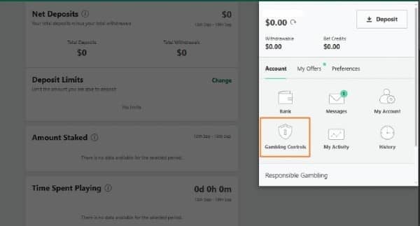 Tap your profile icon at the top right corner and click Gambling Controls on bet365