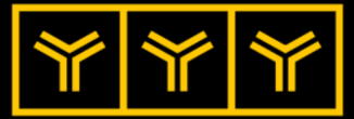 YYY