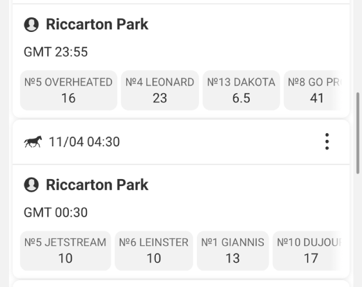 Horse Racing Betting Sites in Saudi Arabia: Megapari