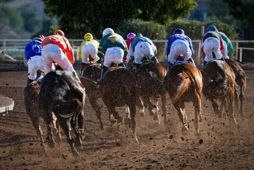 Horse Racing Betting Sites in Saudi Arabia