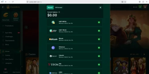 casinia's payment options