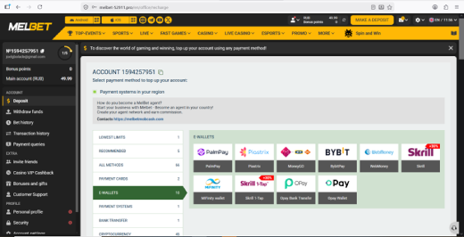 Payment options on Melbet