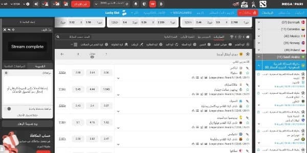 أنواع وأسواق المراهنات في Megapari sport